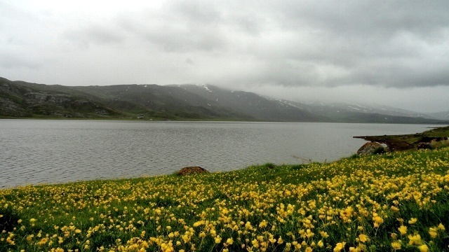 معرفی دریاچه نئور – جاذبه های گردشگری استان اردبیل