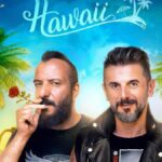 فیلم کمدی هاوایی